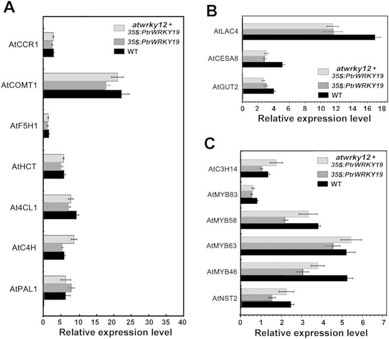 Figure 5