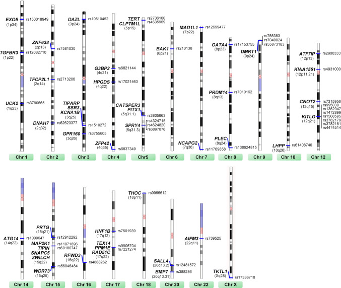 Fig. 2