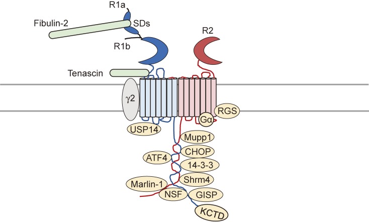 Figure 2. 