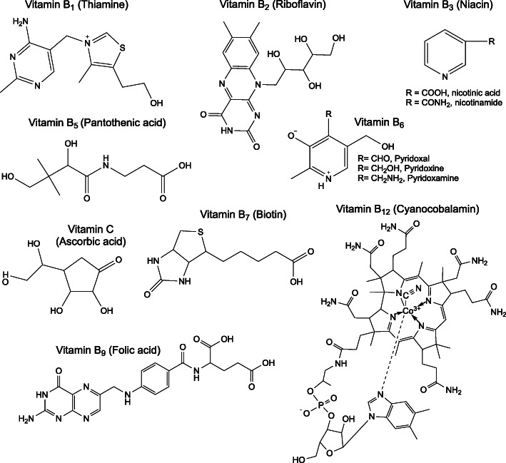 Fig. 2