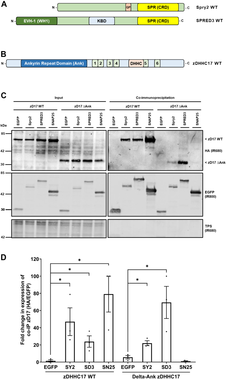 Figure 7