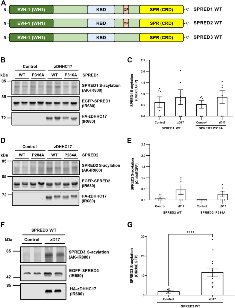 Figure 5