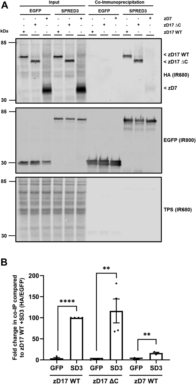 Figure 9