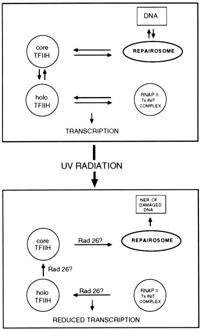 FIG. 8