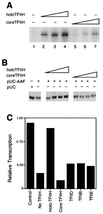 FIG. 6