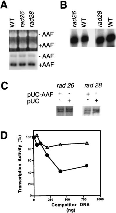 FIG. 7