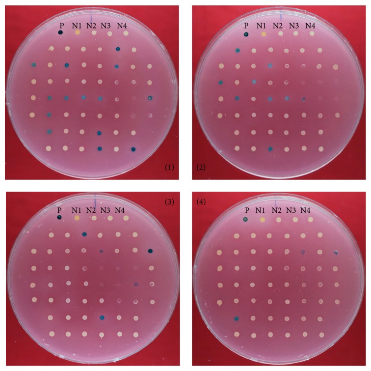 Figure 4