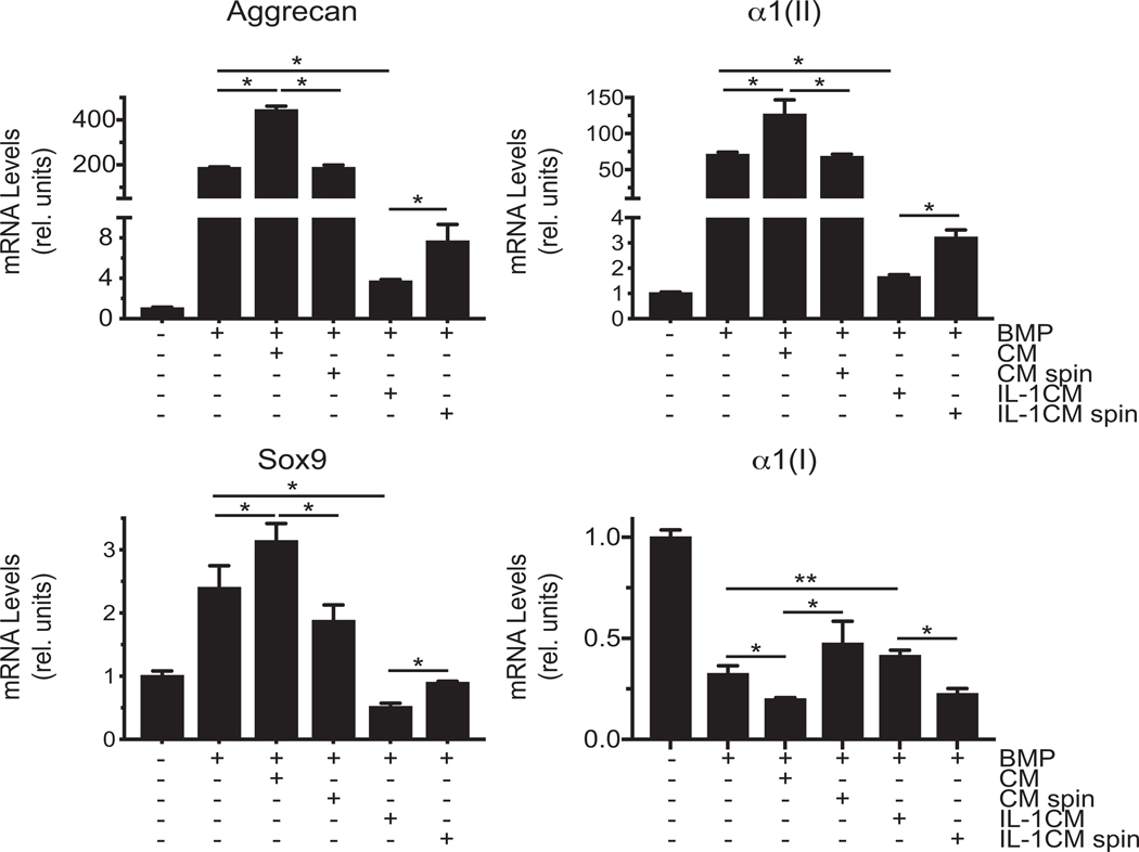 Figure 5: