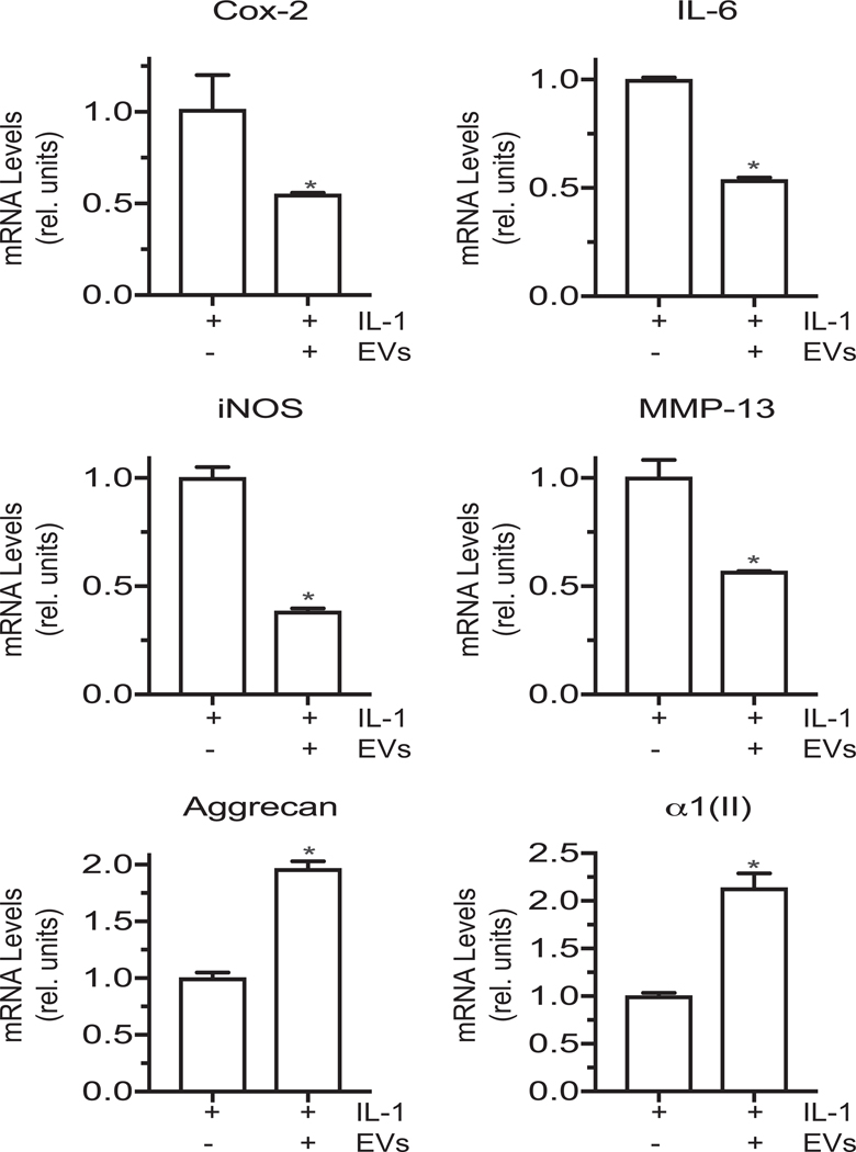 Figure 4: