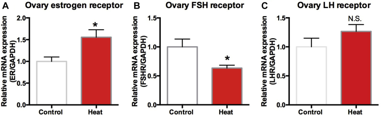 Figure 7