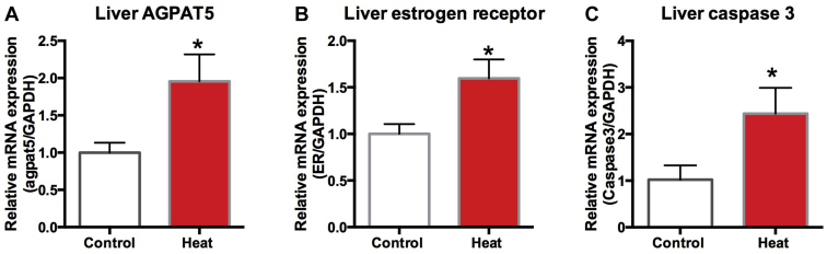 Figure 10