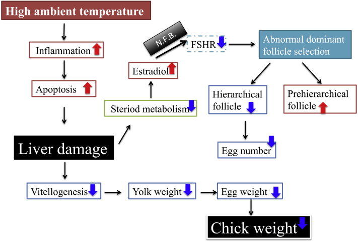 Figure 12