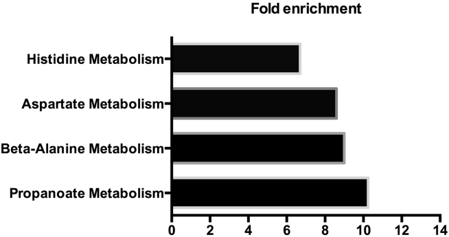 Figure 5