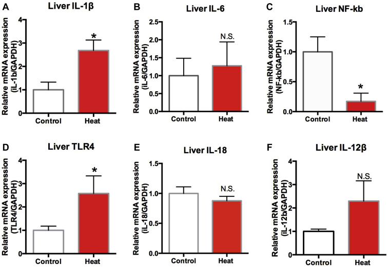 Figure 11