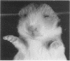 3560