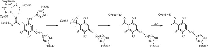 Scheme 2