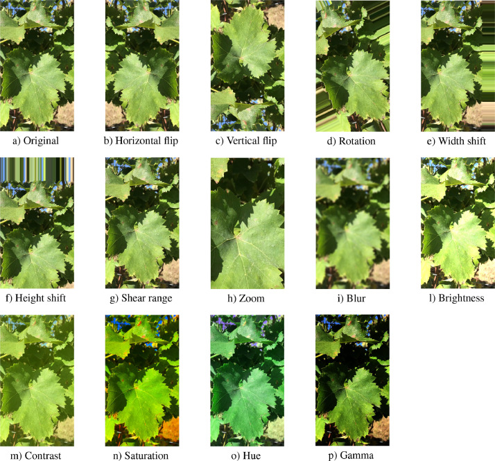 Fig. 4