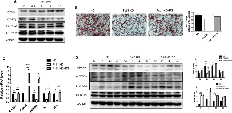 Figure 6