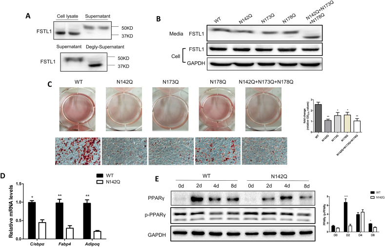 Figure 4