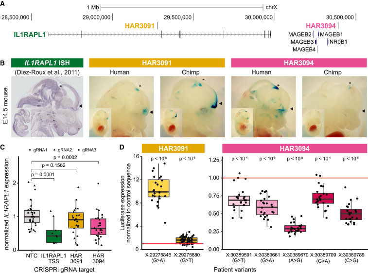 Figure 4