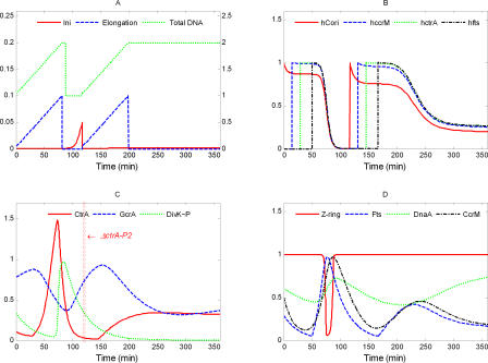 Figure 12