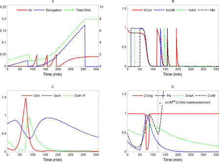 Figure 11