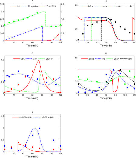 Figure 5