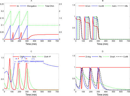 Figure 13