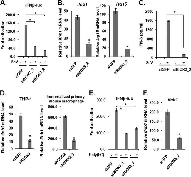 FIG 2