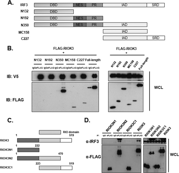 FIG 5