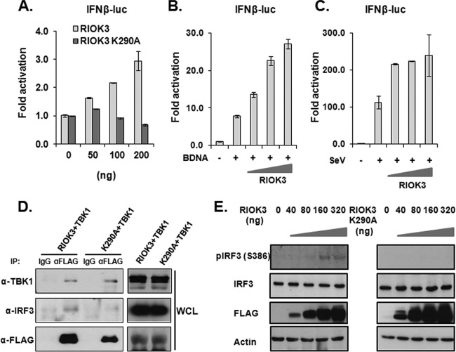 FIG 6