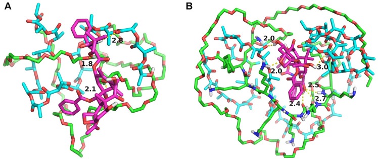 Figure 6