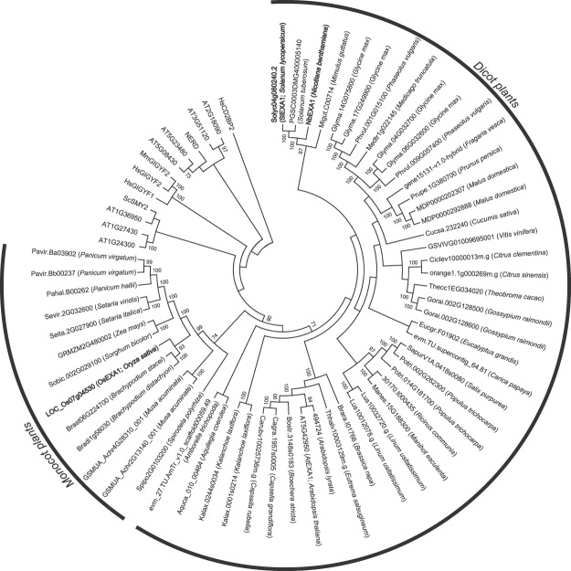 Figure 5