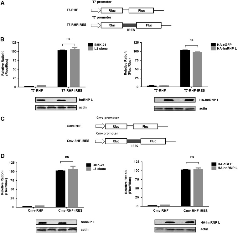 FIG 6