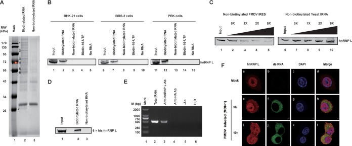 FIG 1