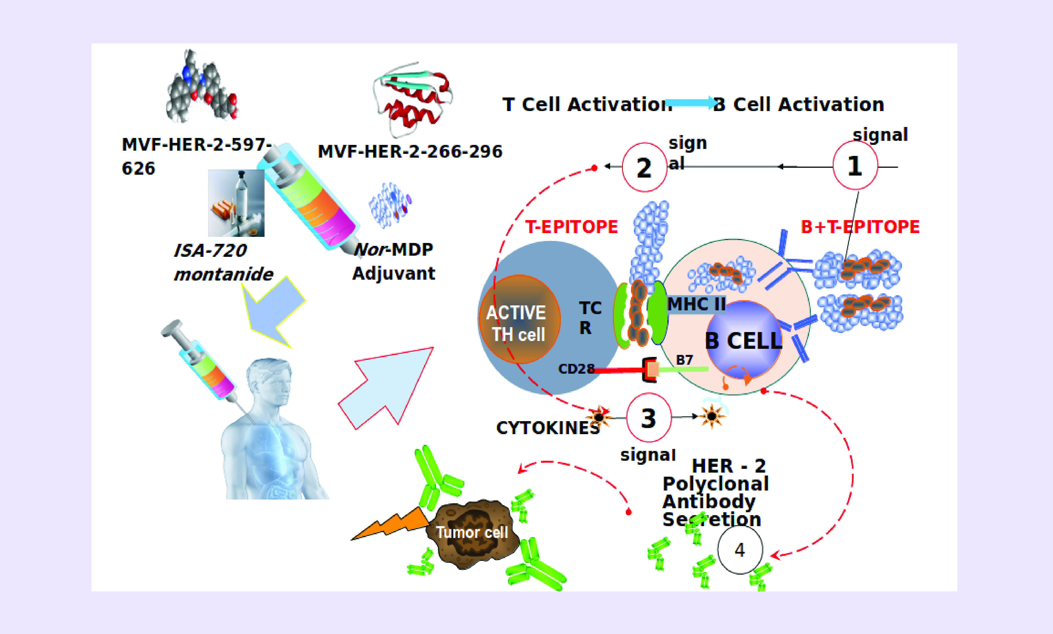 Figure 4. 