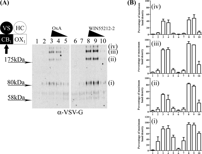 FIGURE 9.