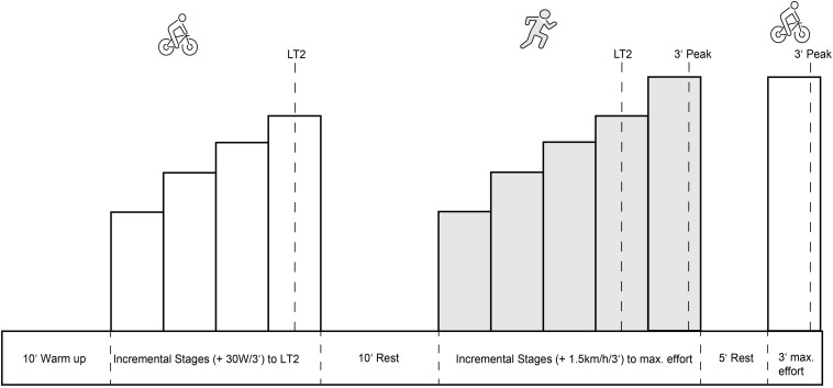 FIGURE 2