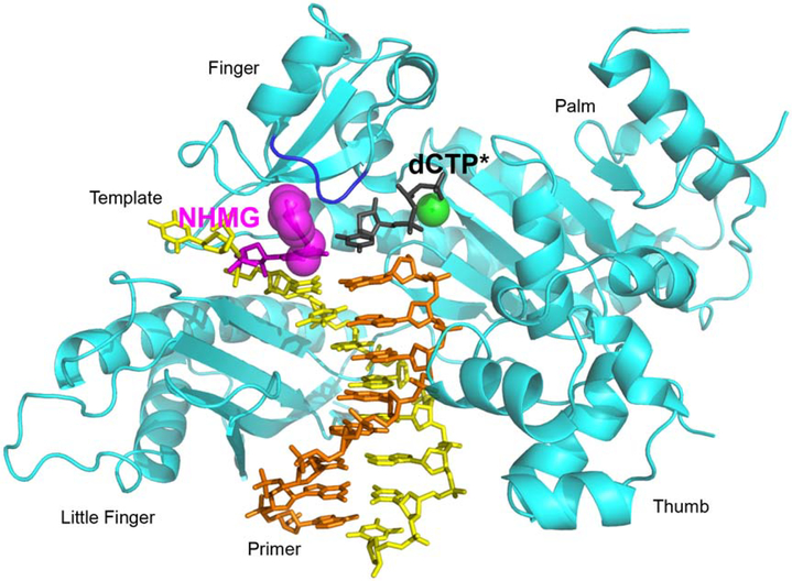 Figure 3.