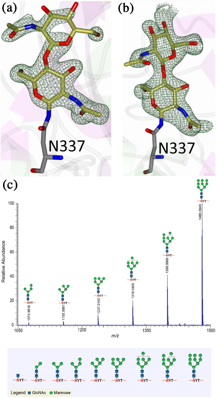 FIGURE 6