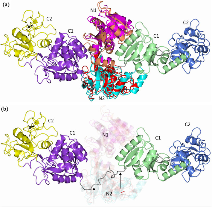 FIGURE 3