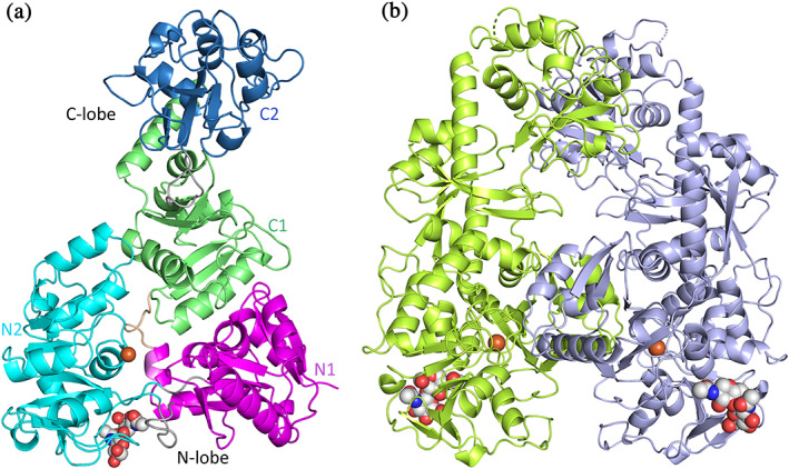 FIGURE 1