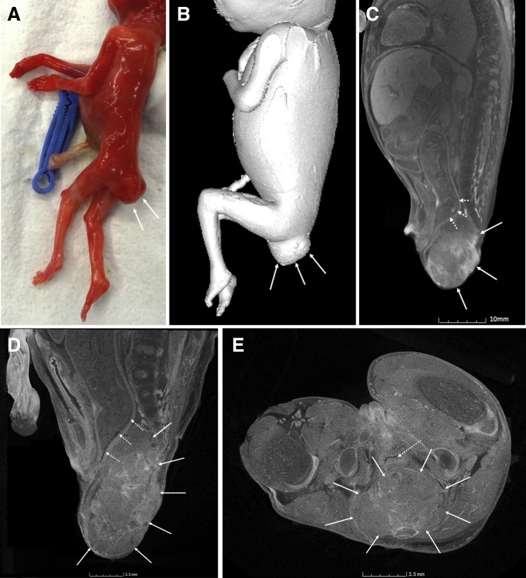 Figure 2