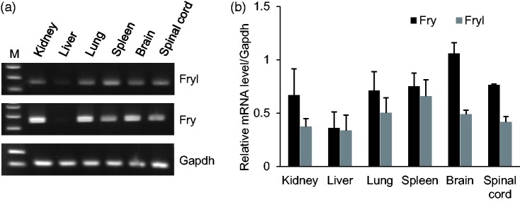 Figure 4.