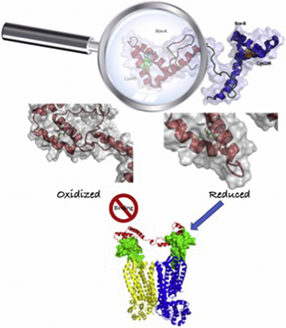 Unlabelled Image