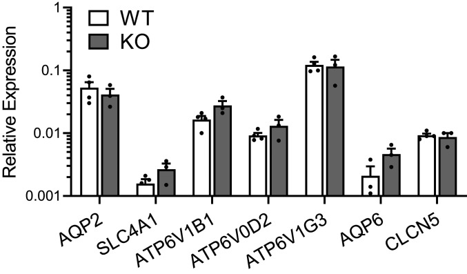 Fig. 8.