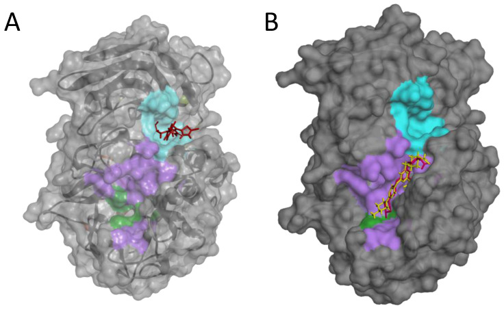 Figure 10