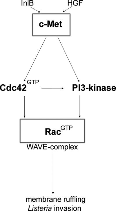 FIG. 9.