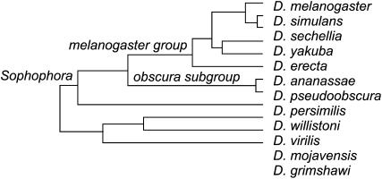 Figure 1.—