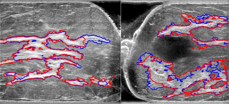 Fig. 6